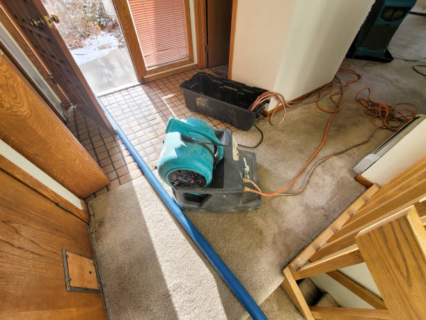 Best Water damage contractors near me  in Streator, IL