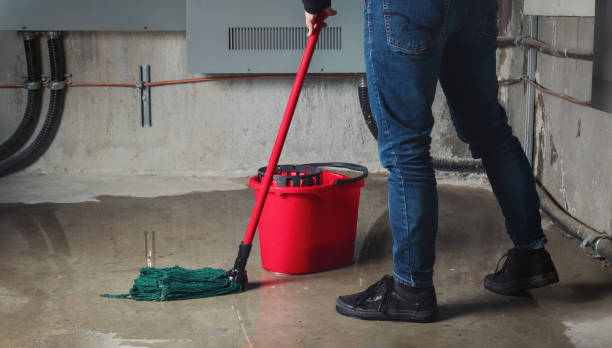 Best Local water damage restoration  in Streator, IL