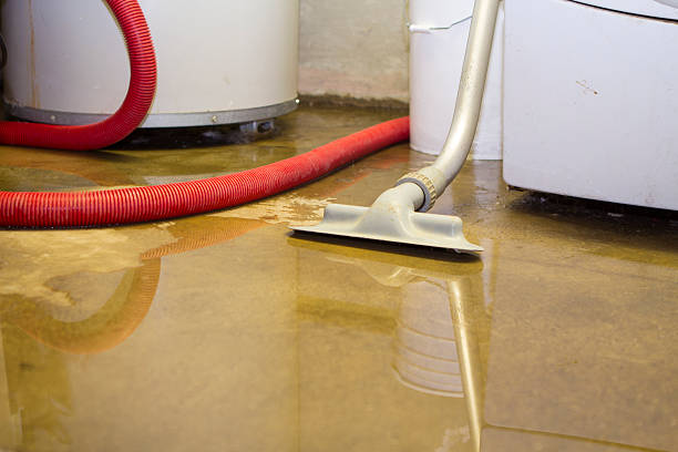 Best Mold removal after water damage  in Streator, IL