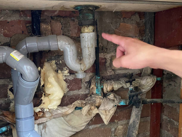 Best Water damage cleanup near me  in Streator, IL